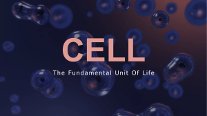 1. Cell structure and types