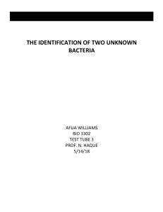 1526594383-IdentificationofUnknownBacteriainTestTube3 (1)