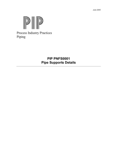 PIP PNFS0001-2005