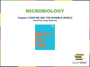 OpenStax Microbiology CH02 ImageSlideshow - Tagged