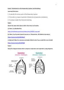 Grade 7 Worksheet on the Respiratory System and Breathing