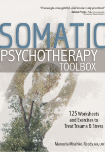 Somatic Psychotherapy Toolbox 125 Worksheets and Exercises to Treat Trauma & Stress PDF Instant Download