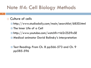 Cell Biology Methods