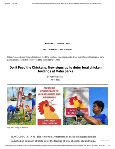 Don't Feed the Chickens  New signs up to deter feral chicken feedings at Oahu parks   Local   kitv.com