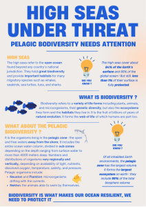 Flyer - High seas pelagic biodiversity and protection
