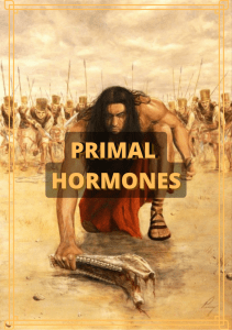 Primal Hormones - Made by Aesthetic Primal 1