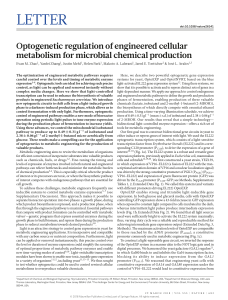 Optogenetic Regulation of Microbial Metabolism