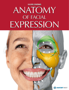 anatomy-of-facial-expression