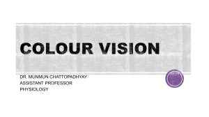 Eye-ColourVision