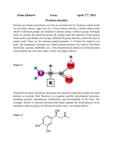 Essay (proteins) insulin