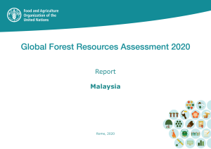Case Studies Global Forest Resources Assessment 2020