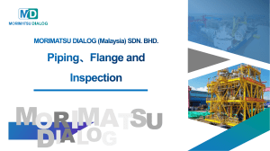 Piping and Flange  Inspection