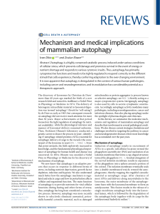 0-1. Mechanism and medical implications of mammalian autophagy