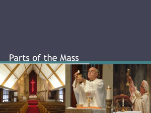 Parts of the mass