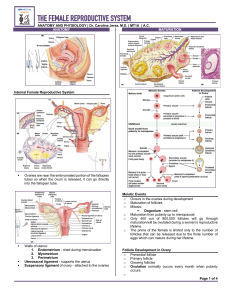 ANAPHY-THE FEMALE REPRODUCTIVE SYSTEM