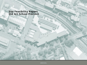 Flavells Feasibility Report 