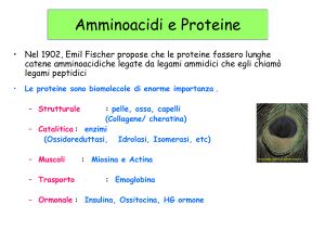 Amminoacidi e Proteine (university lesson)