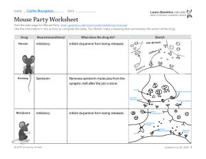 Mouse-Party-Worksheet