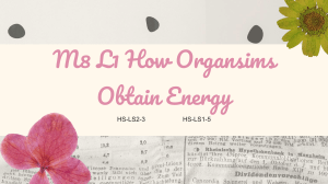 8-1 How Organisms Obtain Energy