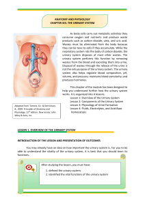 12-URINARY-SYSTEM-Online-Learning-Material-Final-1