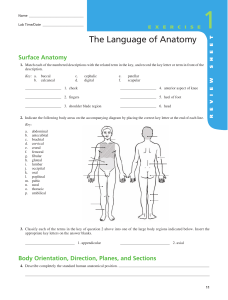 Language of Anatomy-Exercise 1