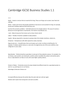 Cambridge IGCSE Business Studies 1