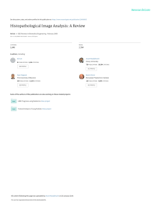 Histopathological Image Analysis Review