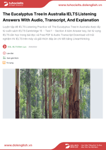 The Eucalyptus Tree In Australia