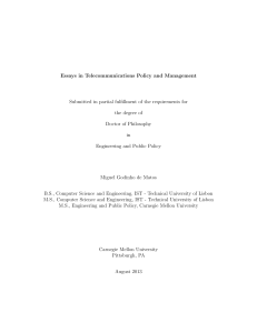 Essays in Telecommunications Policy and Management - Example