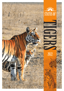 Status Tigers 2022 Summary-1