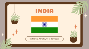 Externalities presentation (India)