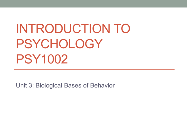 Unit 3 Biological Bases Of Behavior