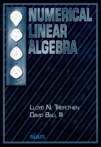 Book Linear Algebra Trefethen