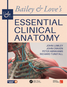 Bailey Love s Essential Clinical Anatomy