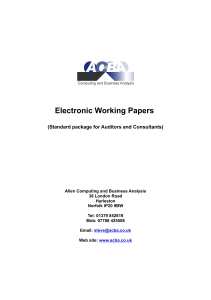 354978650-Audit-Working-Paper-Standard
