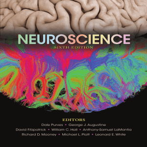 Medical Books Free Neuroscience 6th Edition PDF