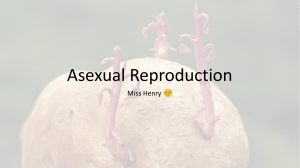 Asexual Reproduction Official