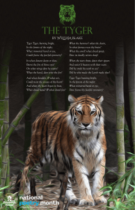 the tyger free poster