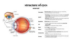 [CS BIO] Chapter 10 - Human Eye