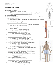 Anatomical Terms Fill in Worksheet (8)