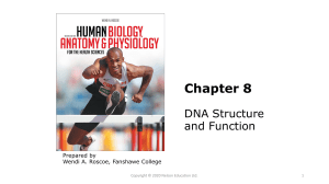 BIOL 1008 Chapter 8 DNA Replication