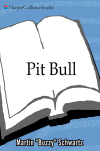 Pit Bull  Lessons from Wall Street's Champion Day Trader ( PDFDrive )