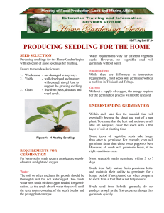 producing-seedlings-for-the-home-garden