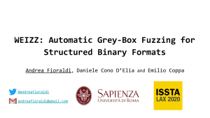 WEIZZ: Grey-Box Fuzzing for Structured Binary Formats