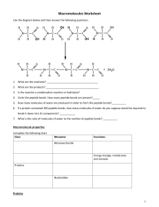 Macromolecules Worksheet