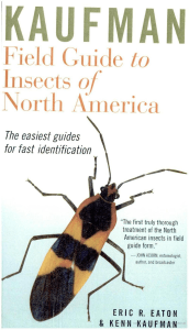 Kaufman Field Guide to Insects of North America