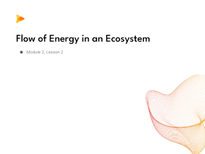 Flow of energy in an Ecosystem