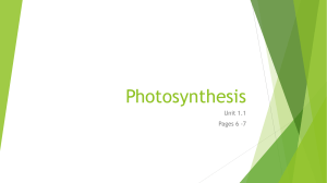 1.Photosynthesis