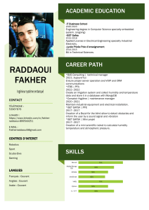 Fakher raddaoui CV-En (1)