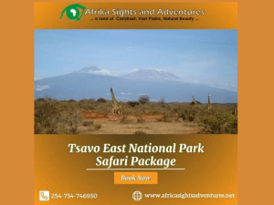 Embark on an Unforgettable Journey with the Ultimate Tsavo East National Park Safari Package